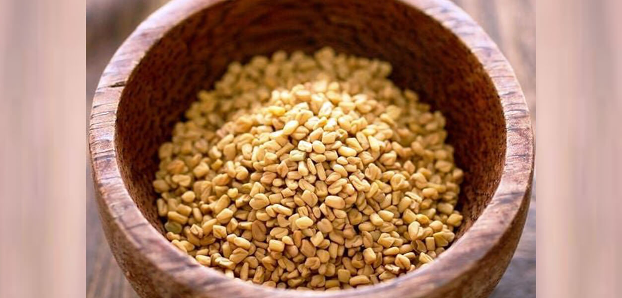 FENUGREEK SEEDS