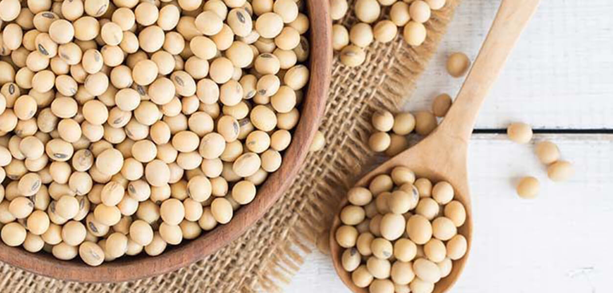 Soybeans