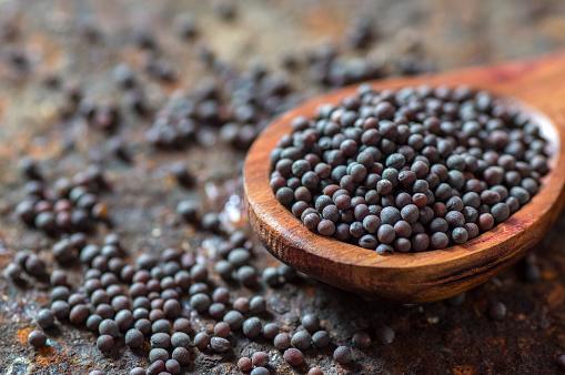Brown Mustard Seeds in wooden spoon